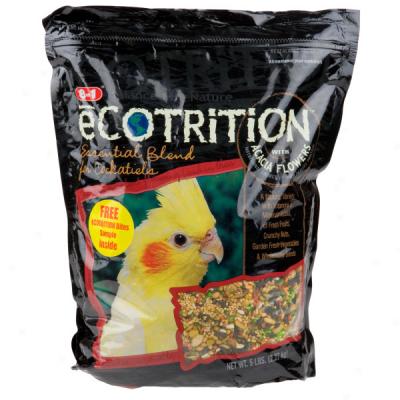 Ecotrition Essential Blend For Cockatiels