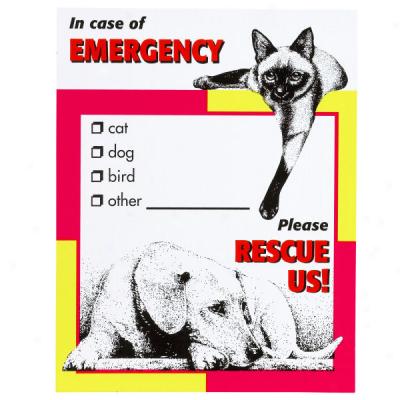 Emergency Rescue Decals