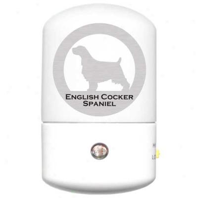 English Cocker Spaniel Led Night Light