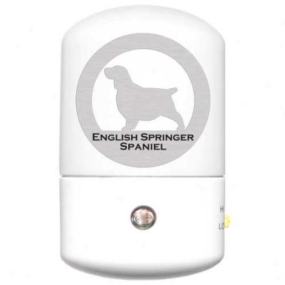 English Springer Spaniel Led Night Light