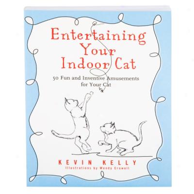 Entertaining Your Indoor Cat