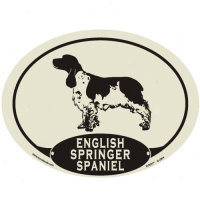European Stle English Springer Spaniel Auto Decal