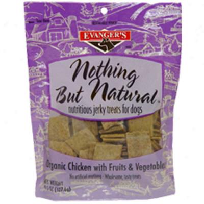 Evangers Non-existence But Nafural Orrganic Chicken Dog Treats 4.5oz