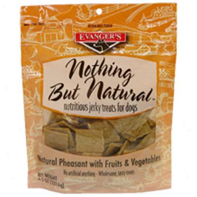 Evangers Nothing But Natural Pheasant Dog Treats 4.5oz