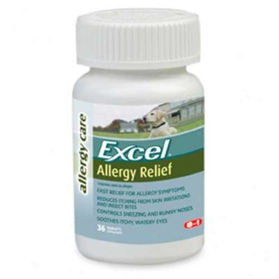 Excel Antihistamine Allergy Tbas - 36 Tablets