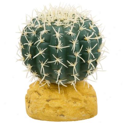 Exo Terra Barrel Cactus