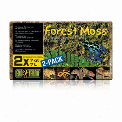 Exo Terra Forest Moss