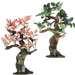 Exotic Environmentstm Bonsai With Flowers Aquarium Onaments