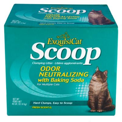 Exquisicat? Multi-cat Premium Clumping Cat Litter - 40 Lbs