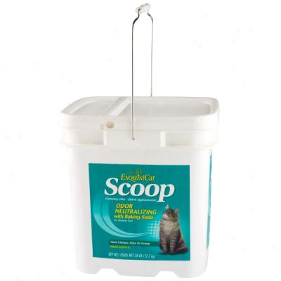 Exquisicat? Scoop Scented Clumping Cat Littet With Baking Soda - 28 Lbs