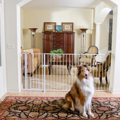 Extra Tall Maxi Metal Wali-through Gate W/small Pet Door And Extensions