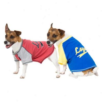 Fashion Pet Loyal Raglan Baseball Jersey Blue/yellow Md