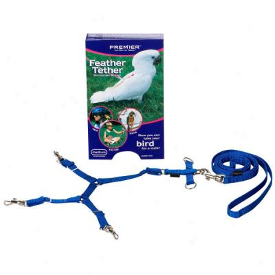 Feather Tether Bird Harness
