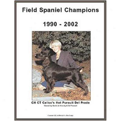 Surface Spaniel Champions, 1990-2002