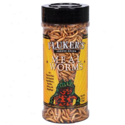 Fluker's Freeze-dried Meaoworms