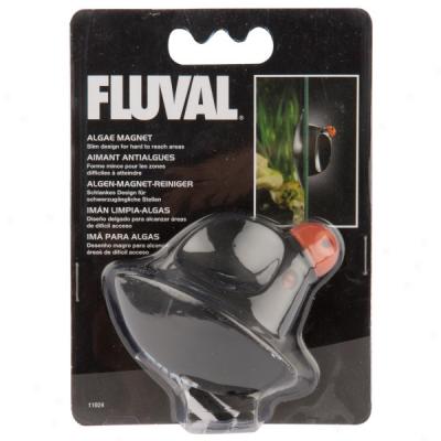 Fluval Akgae Magnet