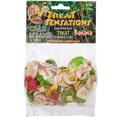 Fresh Dried Banans Treat For Hermit Crabs