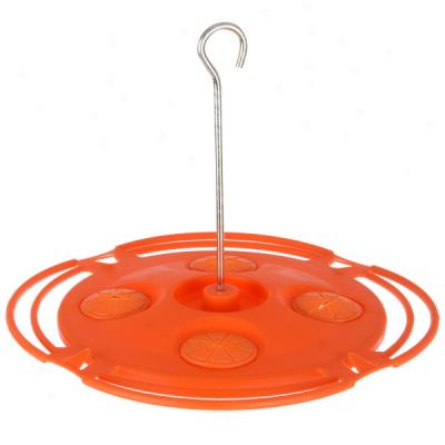 Garden Song 16 Oz. Oriole Feeder