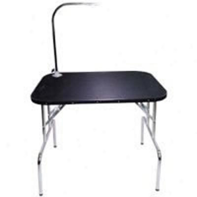 General Cage Grooming Table - 36x24x30 - With Arm