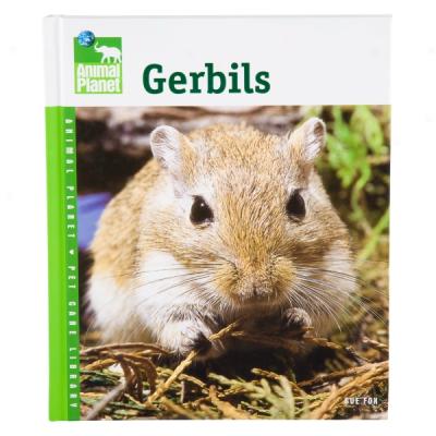 Gerbils (animal Planet Pet Charge Library)