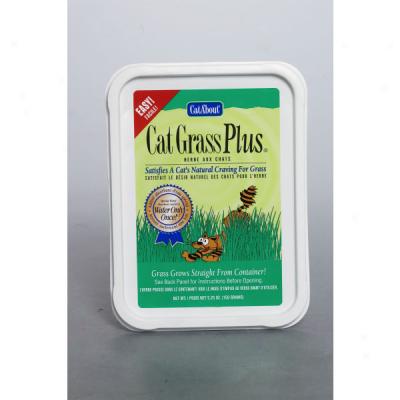Gimpet Cat Grass Plus