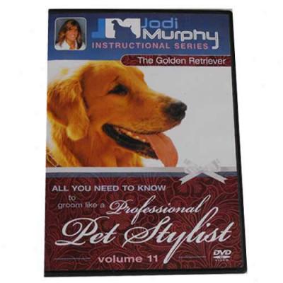 Golden Retriever Grooming Dvd By Jodi Murphy