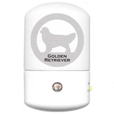 Golden Retriever Led Night Light