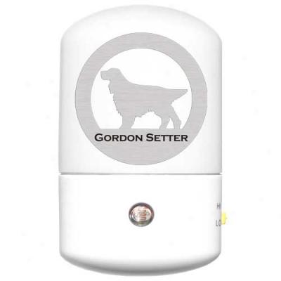 Gordon Setter Led Night Light