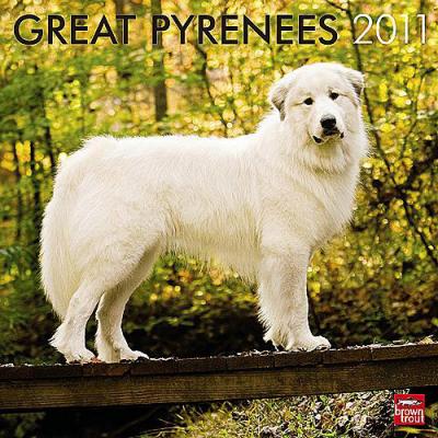 Great Pyrenees 2011 Calendar