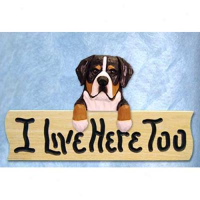 Greater Swiss Mountain Dog I Live Hither Tpo Oak Finish Sign