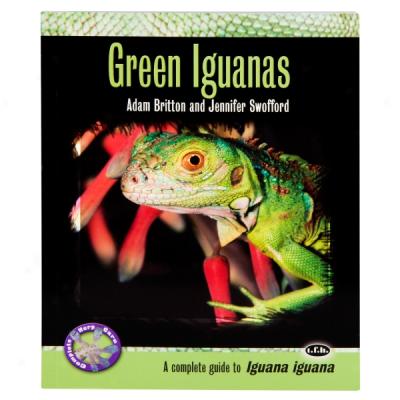 Green Iguanas