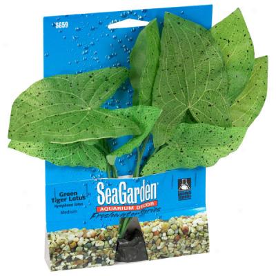 Green Tiger Lotus Silk Aquarium Plant From Seagarden