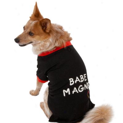 Grreat Choice? Babe Magnet Dog T-shirt