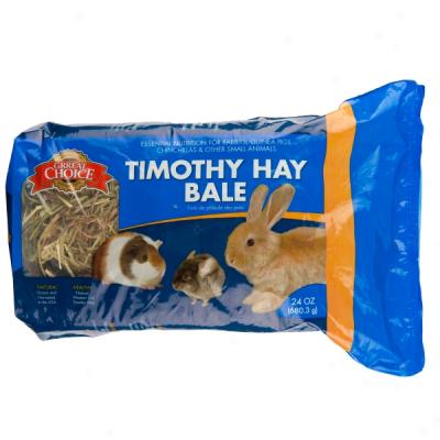 Grreat Election? Timothy Hay Bale