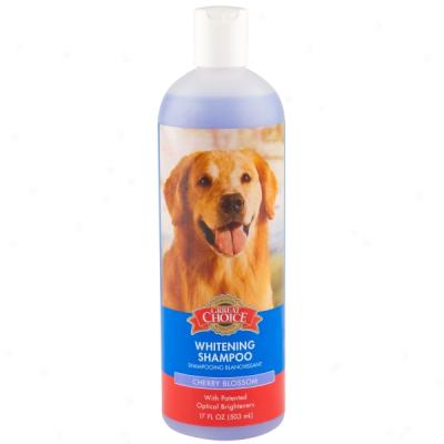 Grreat Choice Whitening Dog Shampoo