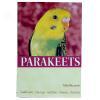 Guide To Parakeets