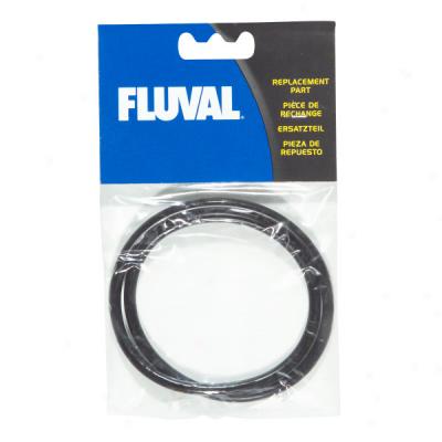 Hagen Fluval Canistsr Filter Motor Seal Ring For Models 104-4044