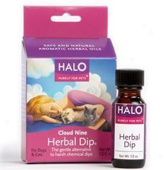 Halo Herbal Dip For Dogs