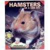 Hamsters As A New Pet