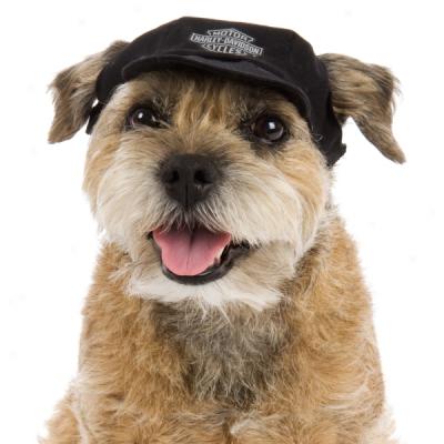 Harley Davidson Baseball Cap For Dogs