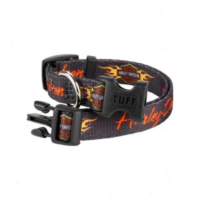 Harley-davidson Dog Collars And Leads