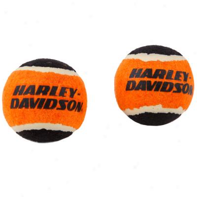 Harley Davidson Large Tennis Balls - 2-pack