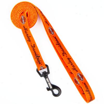 Harley Davidson Orange Nylon Leashes