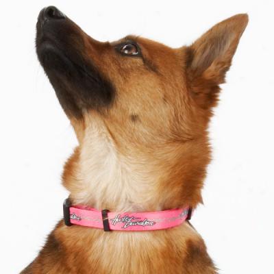 Harley Davidson Pink Adjustable Nylon Collar