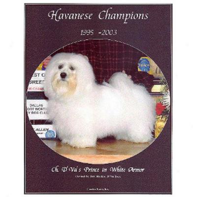 Havanrse Champions, 1995-2003