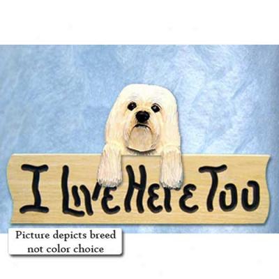 Havanese I Live Here Too Oak Finish Sign Grey