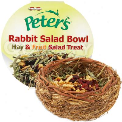 Hay & Fruit Salad Treat In quest of Rabbits