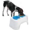 Healthy Care Dog Feeder By Pet Zone