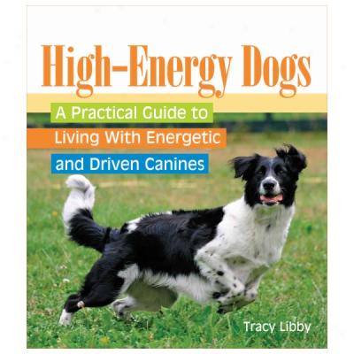 High-energy Dogs