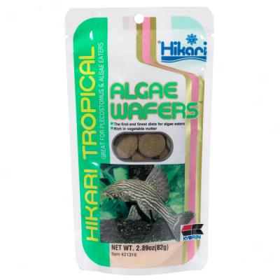 Hikari Algae Wafers